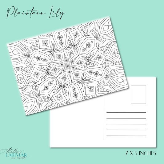 DIY Plaintain Lily Mandala 7x5in Postcard (free US shipping)